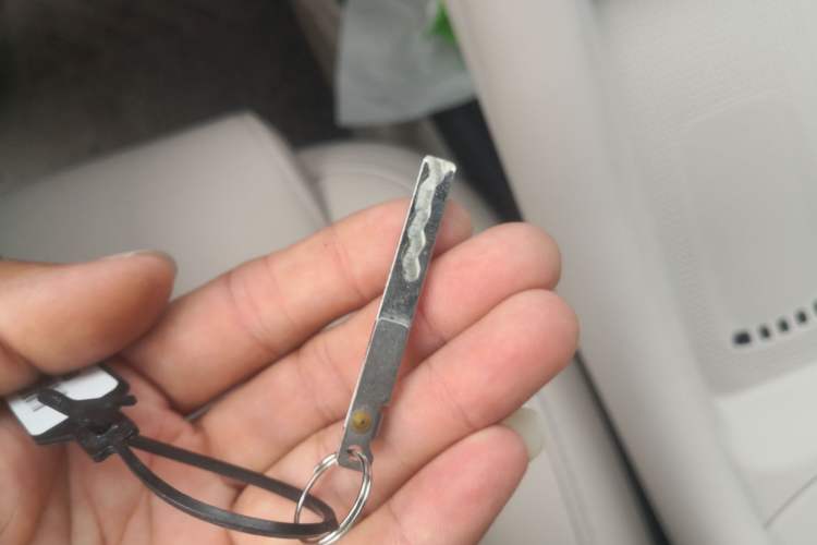 Used IM L6 2024 Max Standard Edition Interior 1