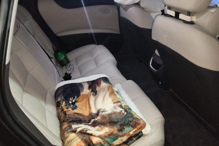 Used IM L6 2024 Max Standard Edition Left Rear Seat