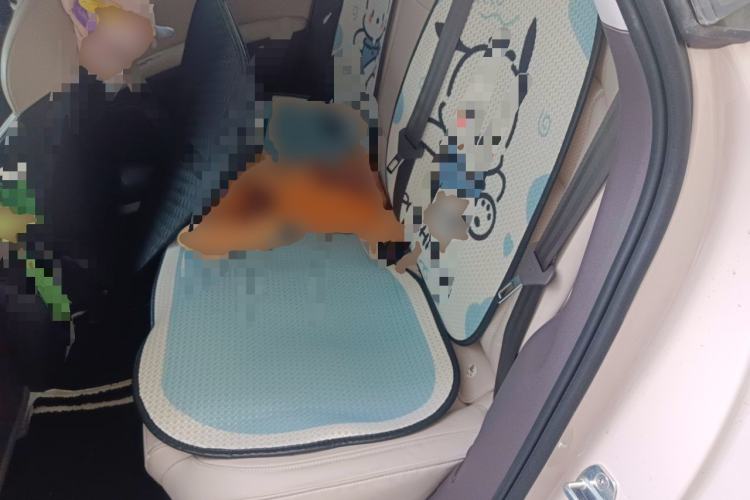 Used IM L6 2024 Max Standard Edition Left Rear Seat