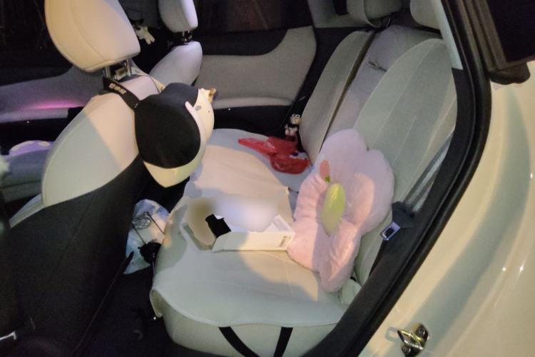 Used IM L6 2024 Max Standard Edition Left Rear Seat