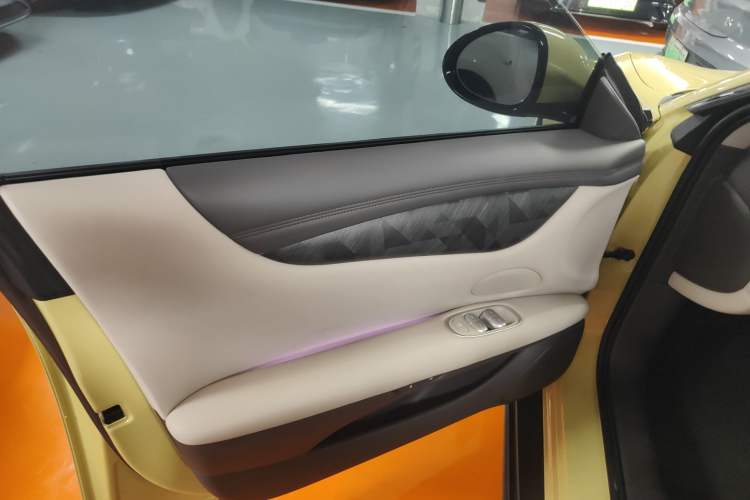 Used IM L6 2024 Max Standard Edition Left Front Door Interior