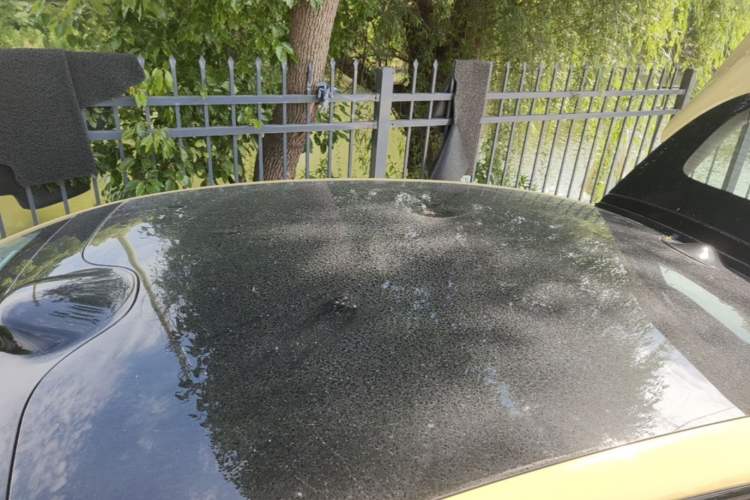Used IM L6 2024 Max Standard Edition Roof