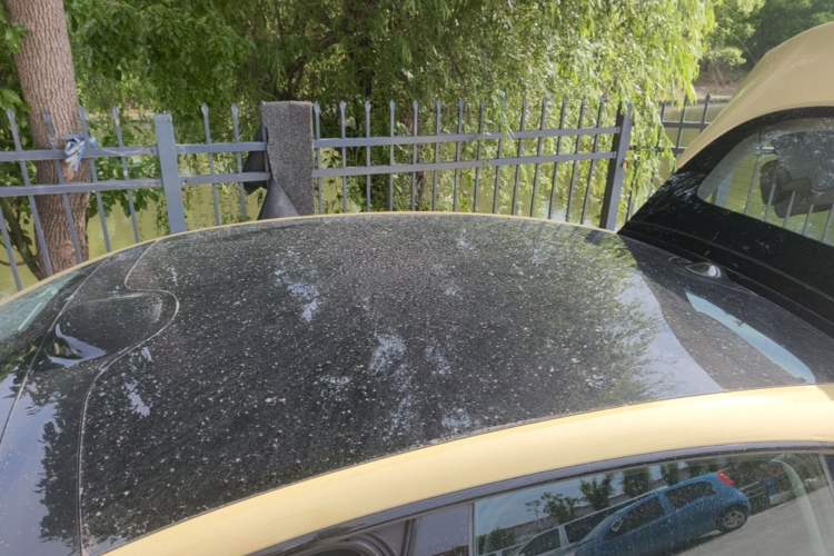 Used IM L6 2024 Max Standard Edition Roof