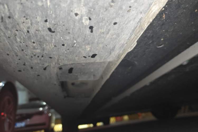 Used IM L6 2025 Max Chassis Front Right