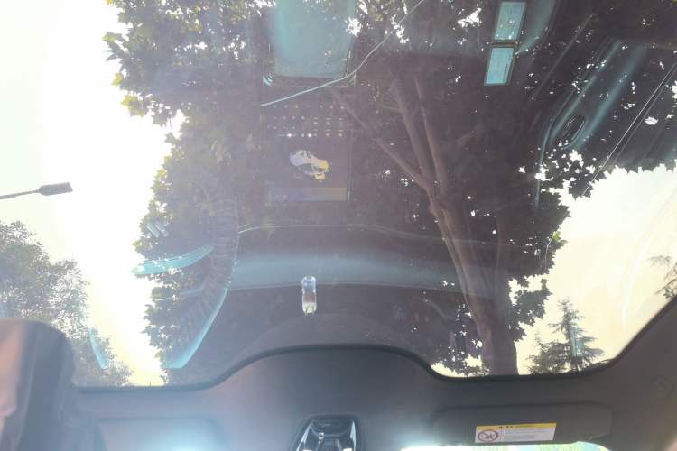 Used IM L7 2022 Pro Model Headliner