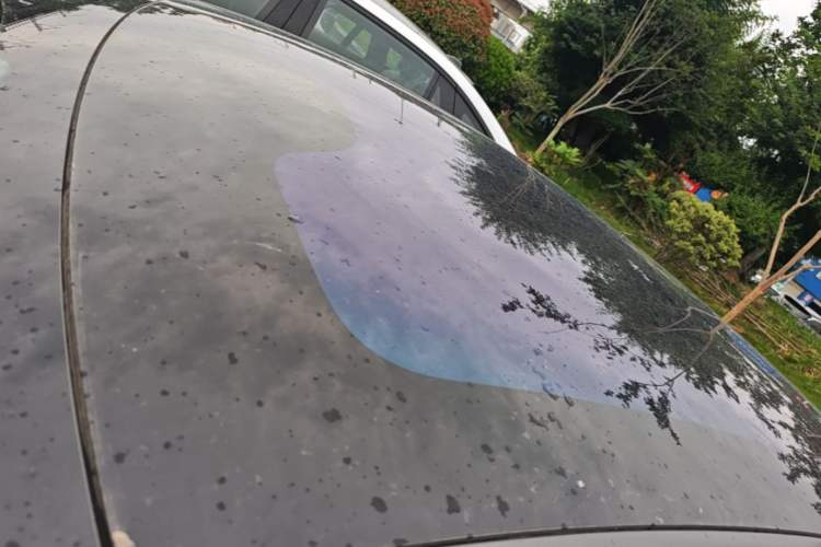 Used IM L7 2023 Elite Model Roof