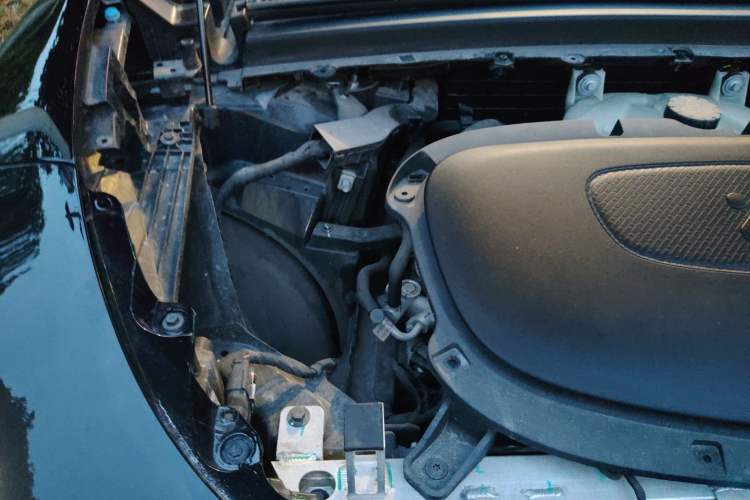 Used IM LS6 2023 Max Standard Edition Engine Bay Right