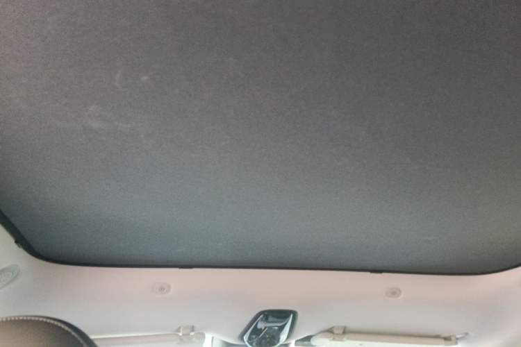 Used IM LS6 2023 Max Extended-Range Version Headliner