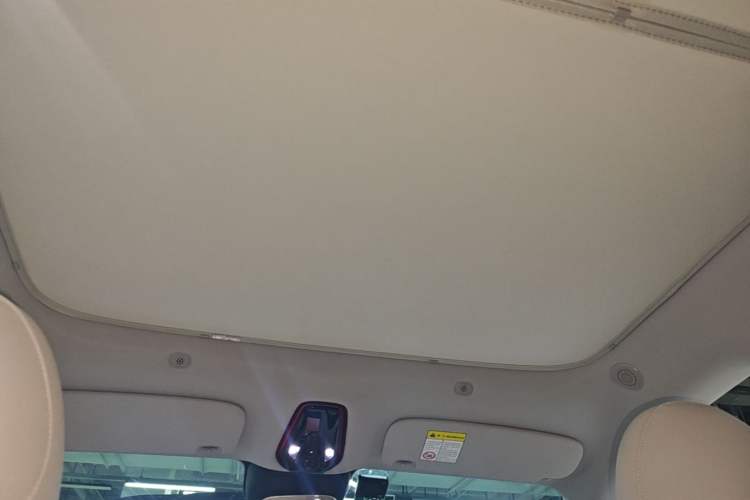 Used IM LS6 2023 Max Standard Edition Headliner