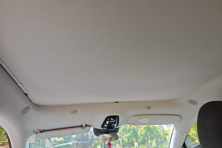 Used IM LS6 2023 Max Standard Edition Headliner