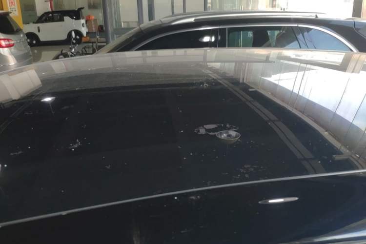 Used IM LS6 2023 Max Long-Range Version Roof