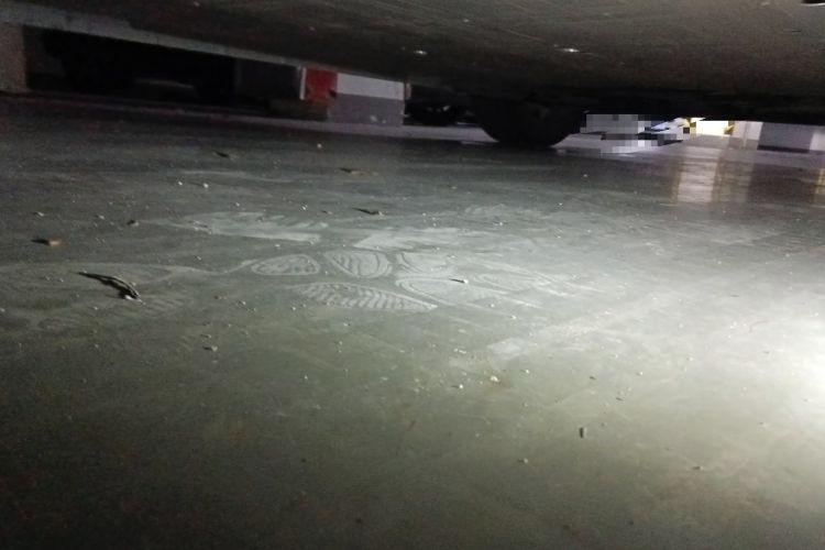 Used IM LS6 2023 Max Standard Edition Chassis Rear Right