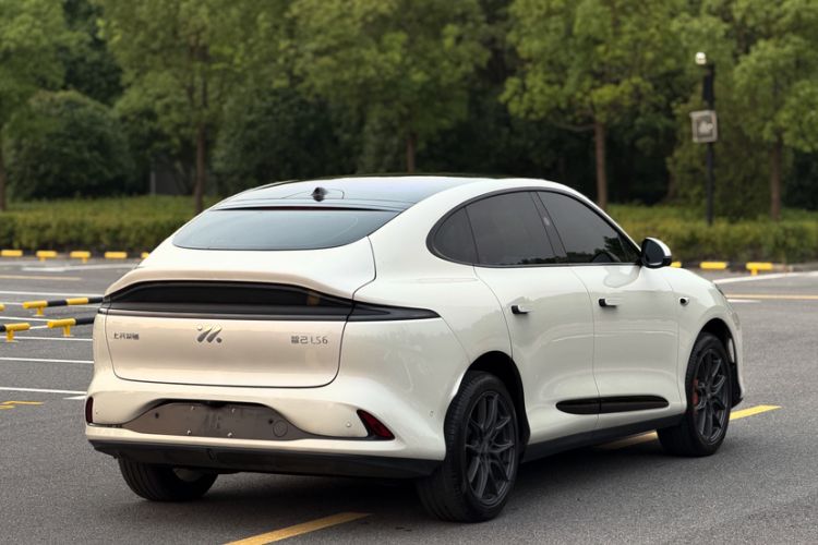 Used IM LS6 2023 Max Standard Edition Exterior 4