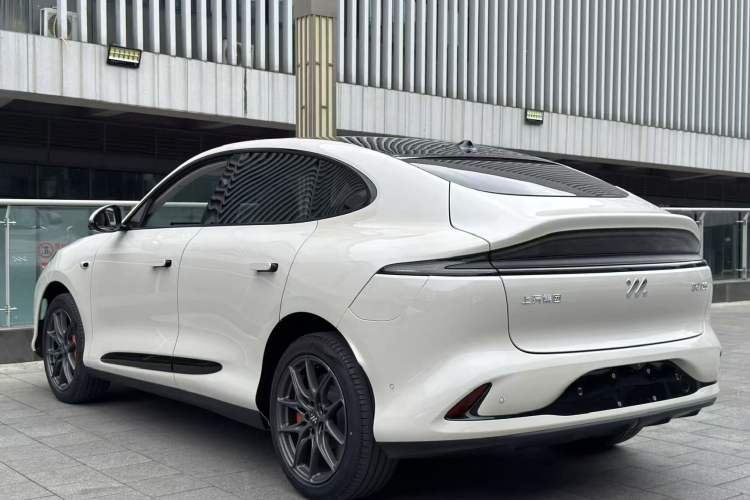 Used IM LS6 2023 Max Standard Edition Exterior 8