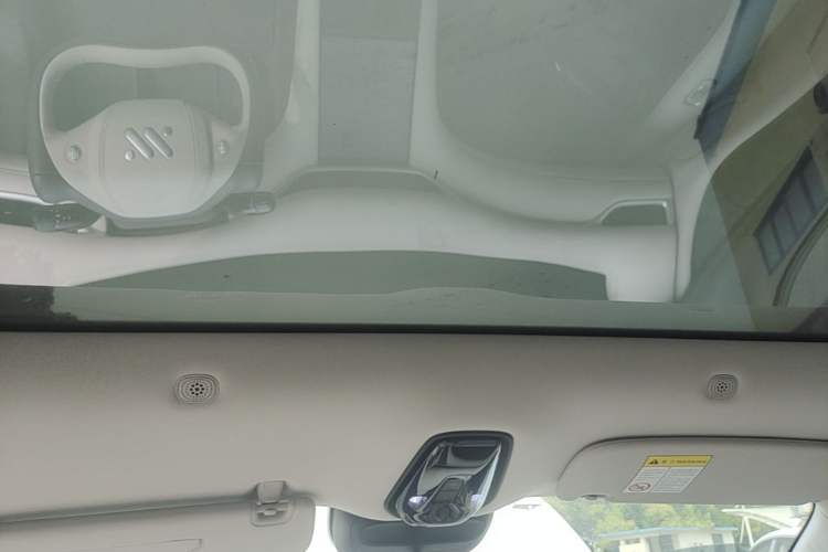 Used IM LS6 2023 Max Long-Range Version Headliner
