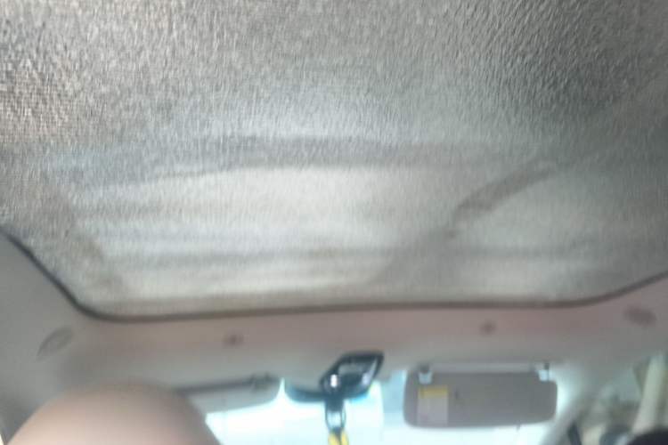 Used IM LS6 2023 Max Standard Edition Headliner