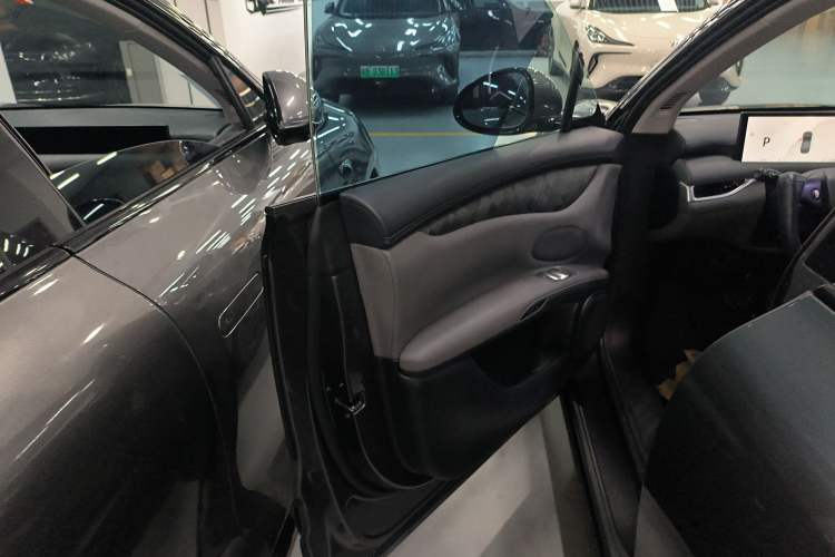 Used IM LS6 2023 Max Standard Edition Left Front Door Interior