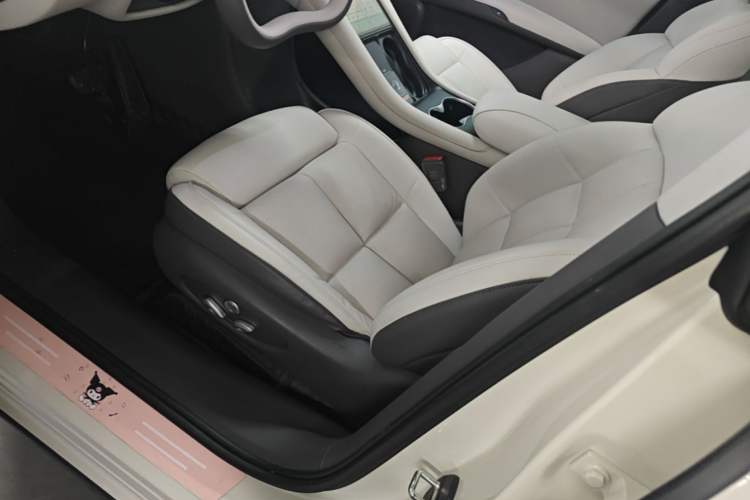 Used IM LS6 2023 Max Standard Edition Left Front Seat
