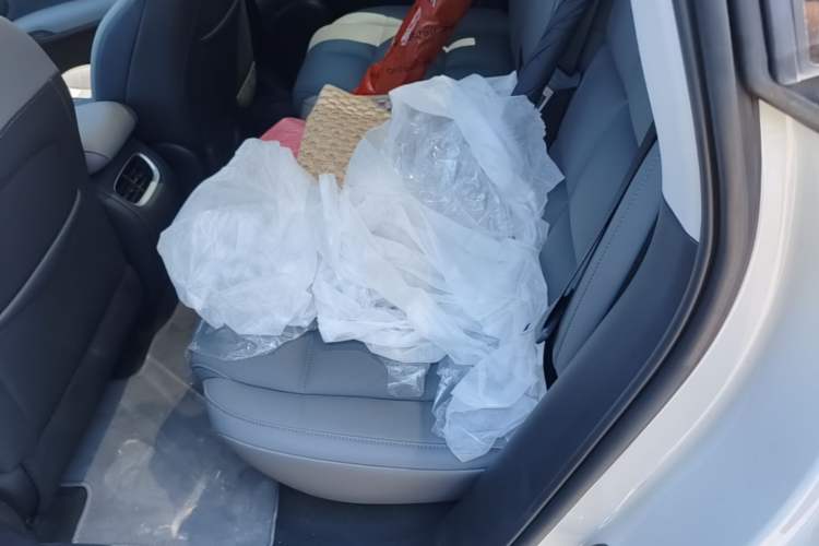 Used IM LS6 2023 Max Standard Edition Left Rear Seat