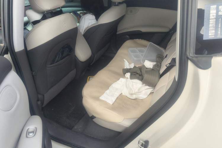 Used IM LS6 2023 Max Standard Edition Left Rear Seat