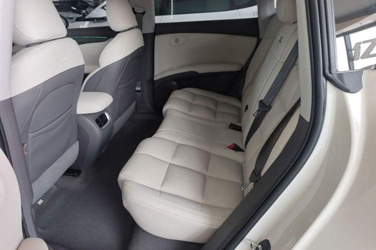 Used IM LS6 2023 Max Standard Edition Left Rear Seat