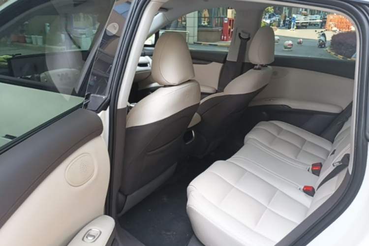 Used IM LS6 2023 Max Standard Edition Left Rear Seat