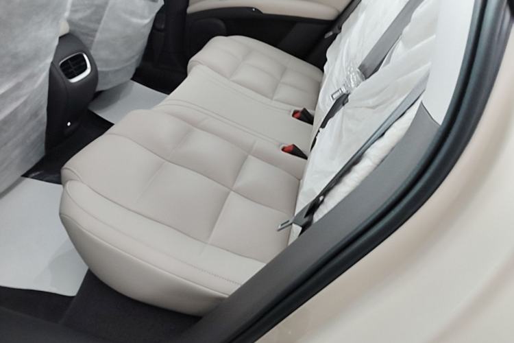 Used IM LS6 2023 Max Standard Edition Left Rear Seat