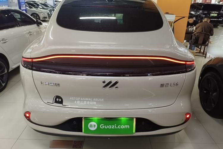 Used IM LS6 2023 Max Standard Edition Rear
