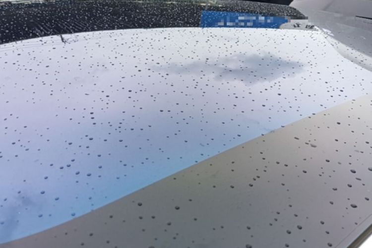 Used IM LS6 2023 Max Standard Edition Roof