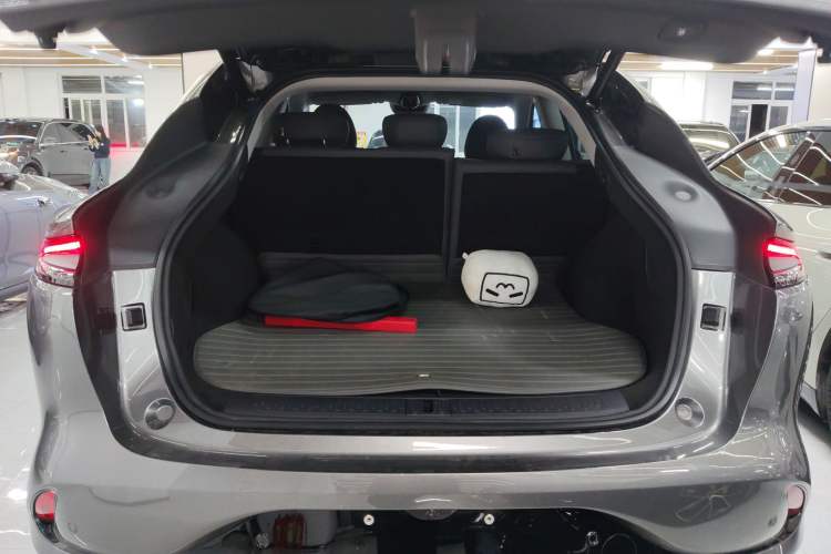 Used IM LS6 2023 Max Long-Range Version Trunk