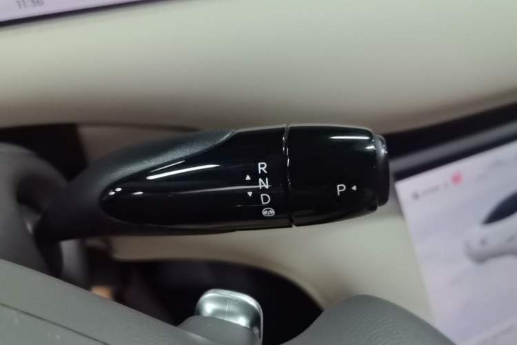 Used IM LS6 2023 Max Long-Range Version Gear Lever