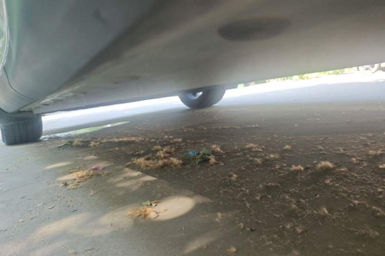 Used IM LS6 2023 Max Standard Edition Chassis Rear Left