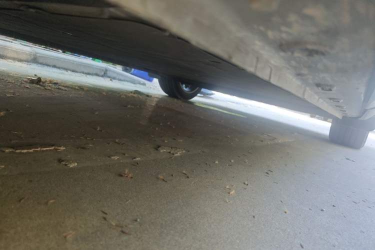 Used IM LS6 2023 Max Standard Edition Chassis Rear Right