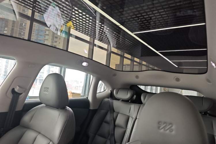 Used IM LS6 2023 Max Long-Range Version Headliner