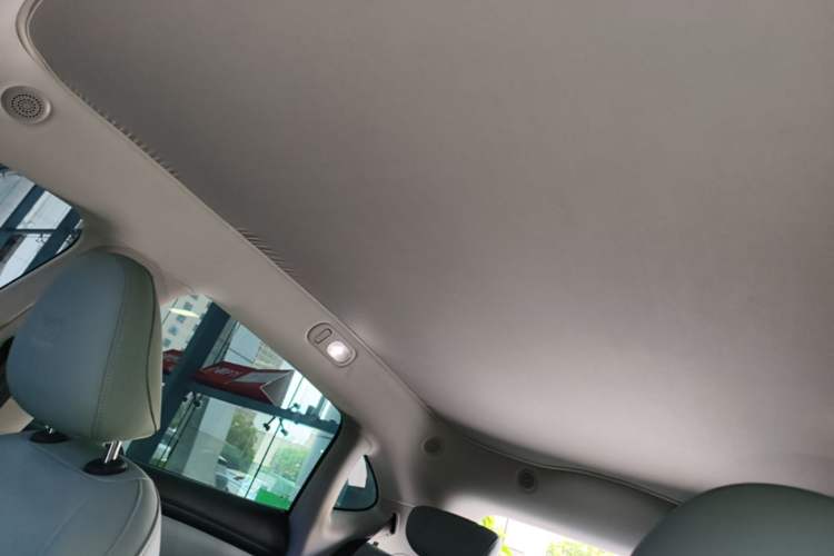 Used IM LS6 2023 Max Enhanced Performance Edition Headliner