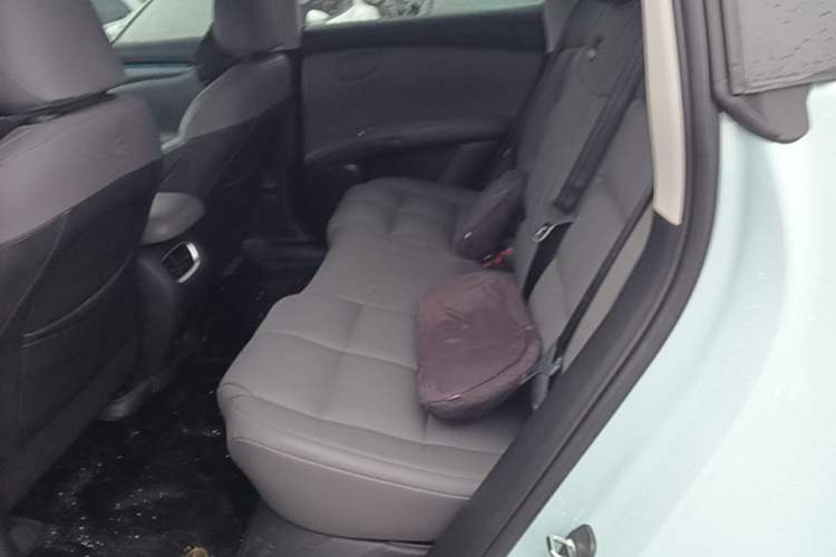 Used IM LS6 2023 Max Standard Edition Left Rear Seat