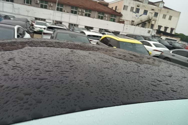 Used IM LS6 2023 Max Standard Edition Roof