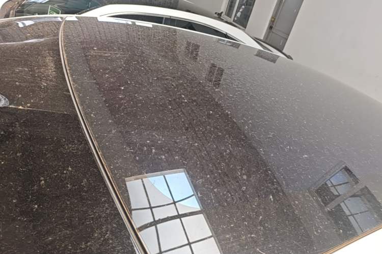 Used IM LS6 2023 Max Standard Edition Roof
