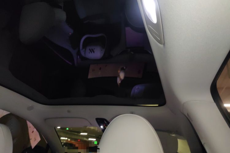Used IM LS6 2023 Max Standard Edition Headliner