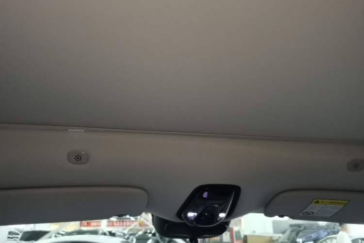 Used IM LS6 2023 Max Standard Edition Headliner