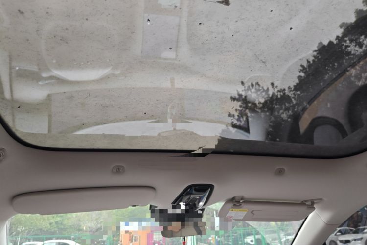 Used IM LS6 2023 Max Extended-Range Version Headliner