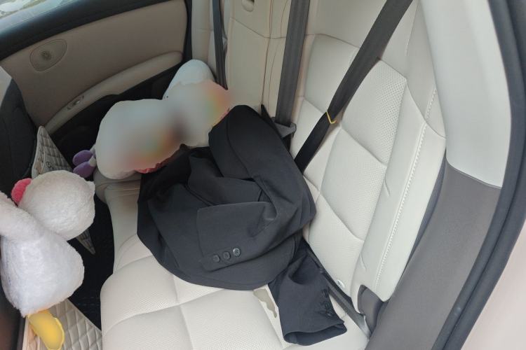 Used IM LS6 2023 Max Standard Edition Left Rear Seat
