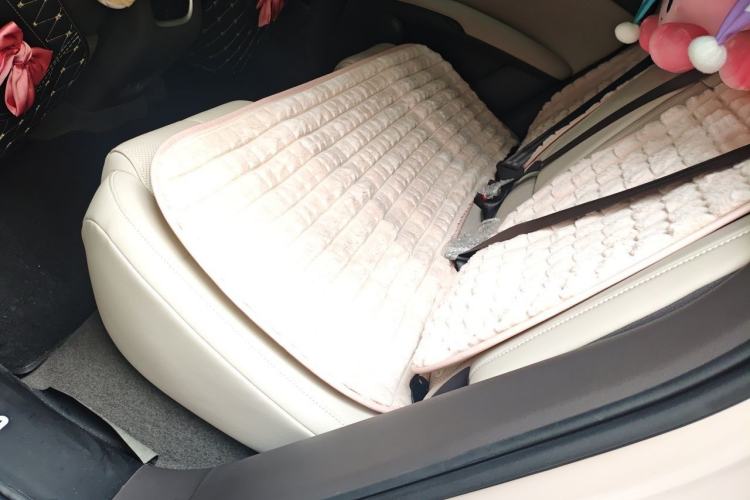 Used IM LS6 2023 Max Standard Edition Left Rear Seat