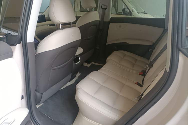 Used IM LS6 2023 Max Standard Edition Left Rear Seat
