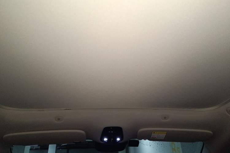 Used IM LS6 2023 Max Standard Edition Headliner
