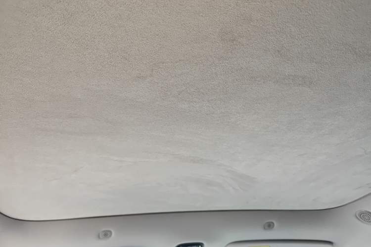 Used IM LS6 2023 Max Standard Edition Headliner