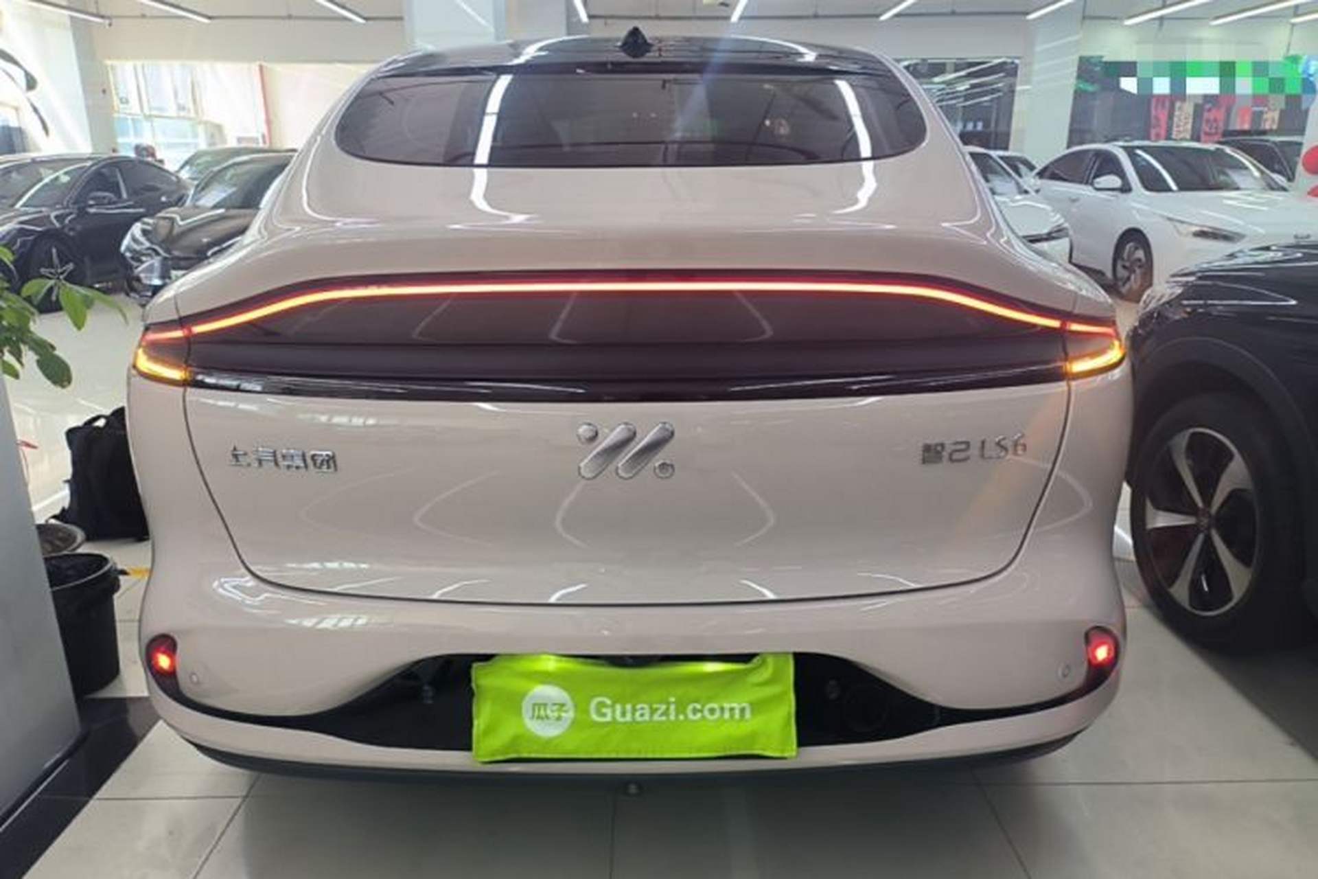 Used IM LS6 2023 Max Standard Edition Rear