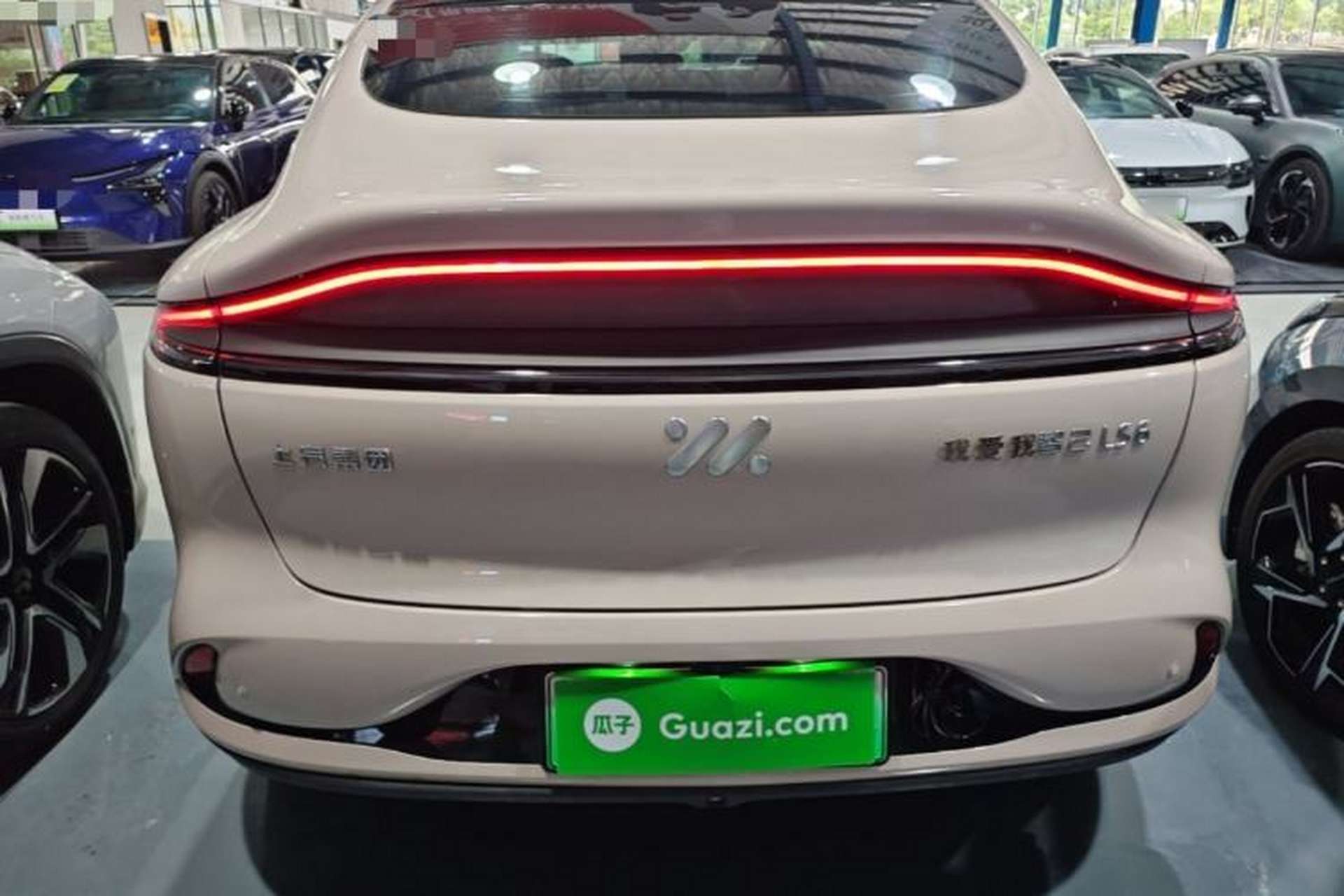 Used IM LS6 2023 Max Standard Edition Rear