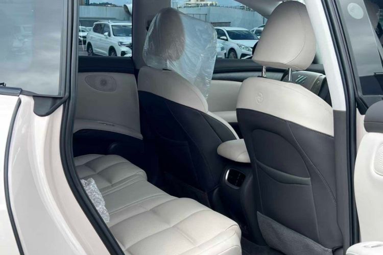 Used IM LS6 2023 Max Extended-Range Version Interior 8