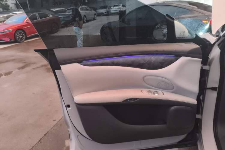 Used IM LS6 2023 Max Long-Range Version Left Front Door Interior